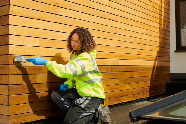 Best Insulated Siding Installation  in Rossville, TN